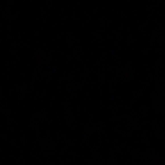 Meet your Posher, Evan - Picture 1 of 1